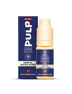 Fleur de cactus givrée SALT